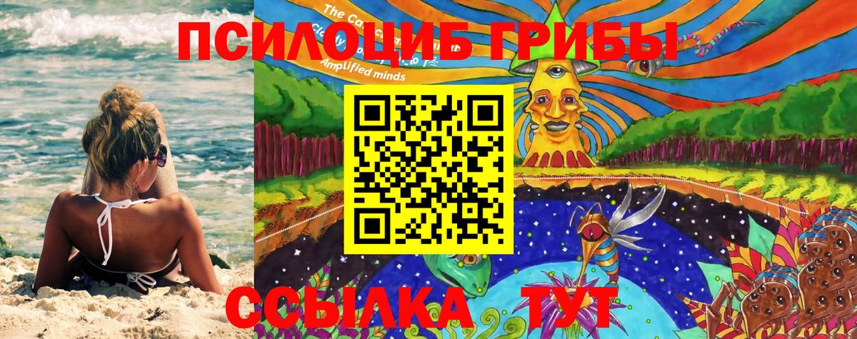 Галлюциногенные грибы Psilocybe  Вход с VPN  Кудрово  Псилоцибиновые грибы Magic Shrooms 