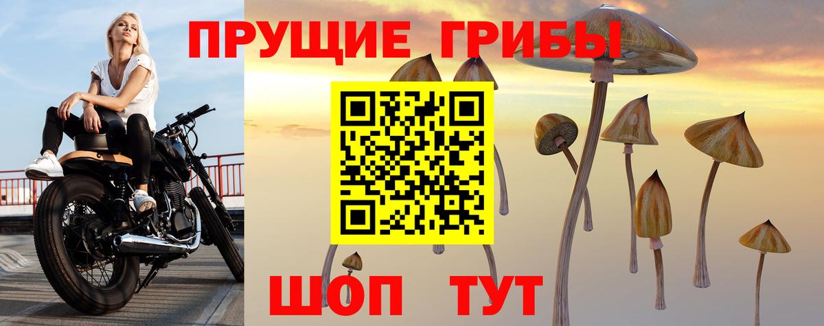 Галлюциногенные грибы ЛСД Кудрово